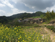 ��eɽ�r(n��ng)�Ҙ�