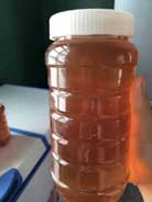 �����G���A�^�خa(ch��n)