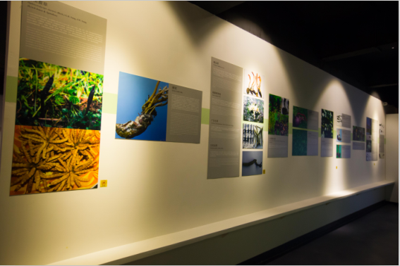 �Ї��x�ݲ����^