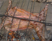 �Ĵ���������(zh��n)�쾮�w�͗�