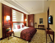 �T���и��մ�Ƶ�