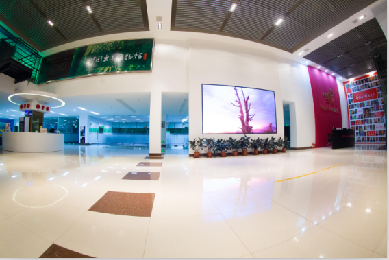 �Ї��x�ݲ����^